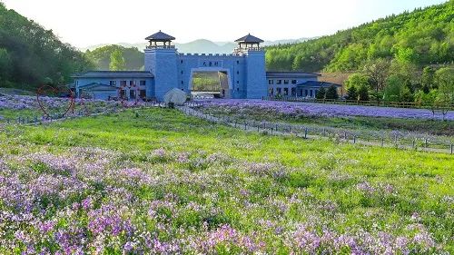 喜報！鳳城市大梨樹村再獲四項“國字號”榮譽